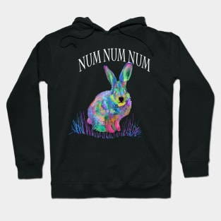 Funny hippy design Hoodie